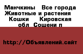 Манчкины - Все города Животные и растения » Кошки   . Кировская обл.,Сошени п.